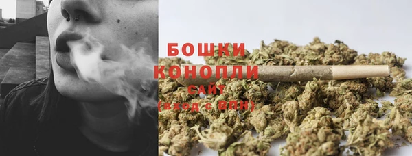крисы Тавда