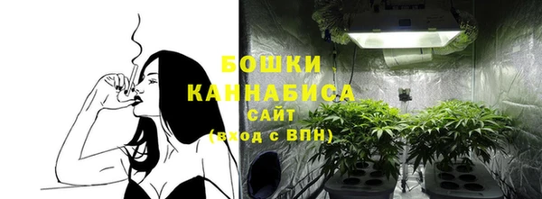 крисы Тавда