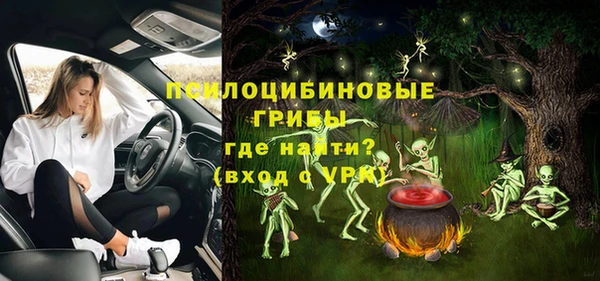 ECSTASY Сясьстрой