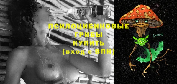 соль курить ск Тайга