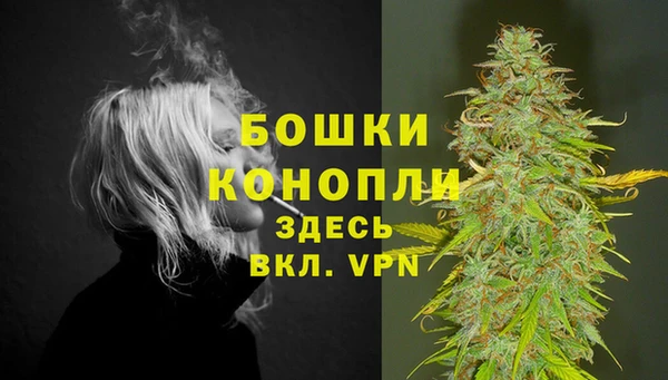 соль курить ск Тайга