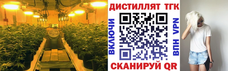 ТГК концентрат  что такое   Алатырь 