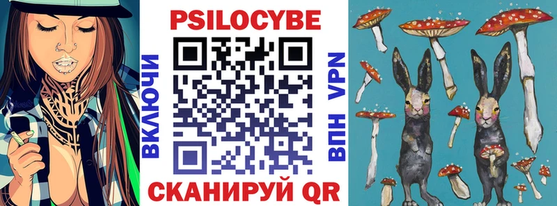 blacksprut ссылка  Алатырь  Псилоцибиновые грибы GOLDEN TEACHER  продажа наркотиков 