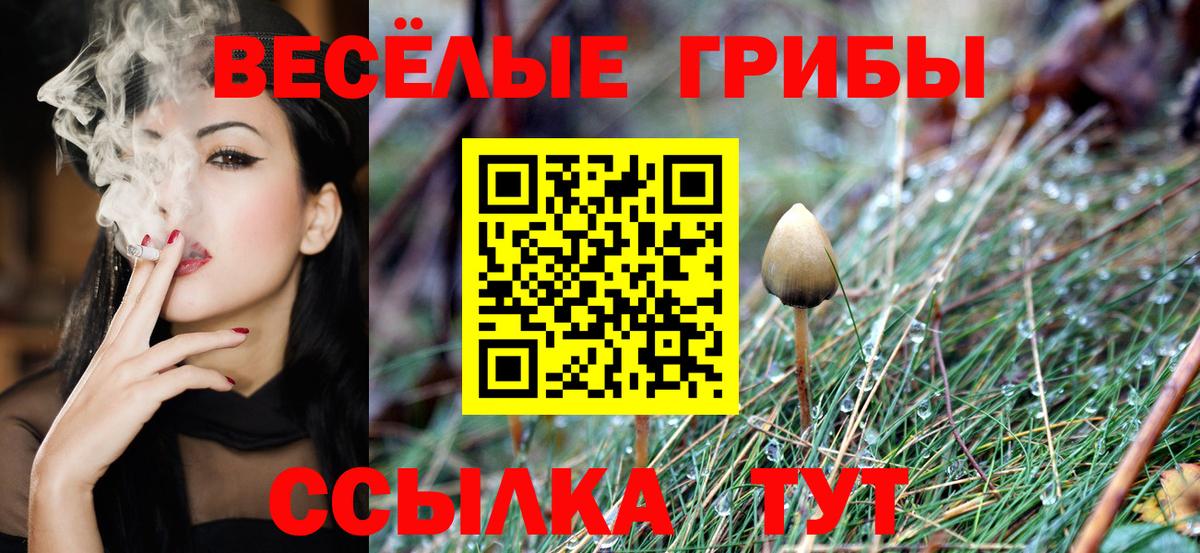 Галлюциногенные грибы мухоморы Алатырь