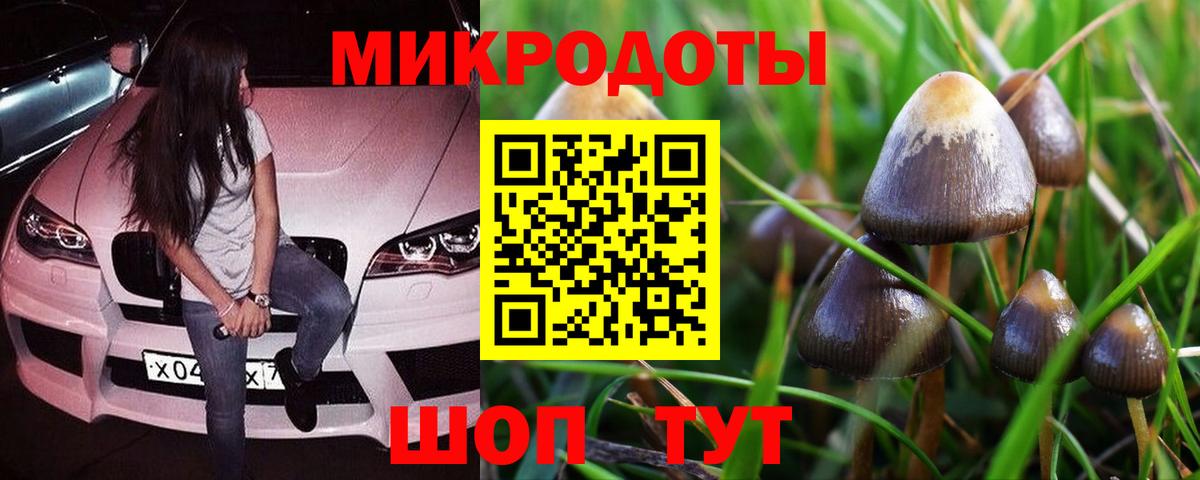 даркнет сайт  Галлюциногенные грибы Cubensis  Вход с VPN  Алатырь 